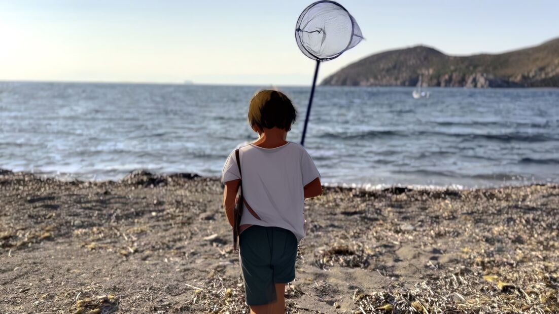 Picture of the back of a boy on a beach holding a fisherman's net while facing a body of water. The boy has a generative AI style transfer to look like a cartoon
